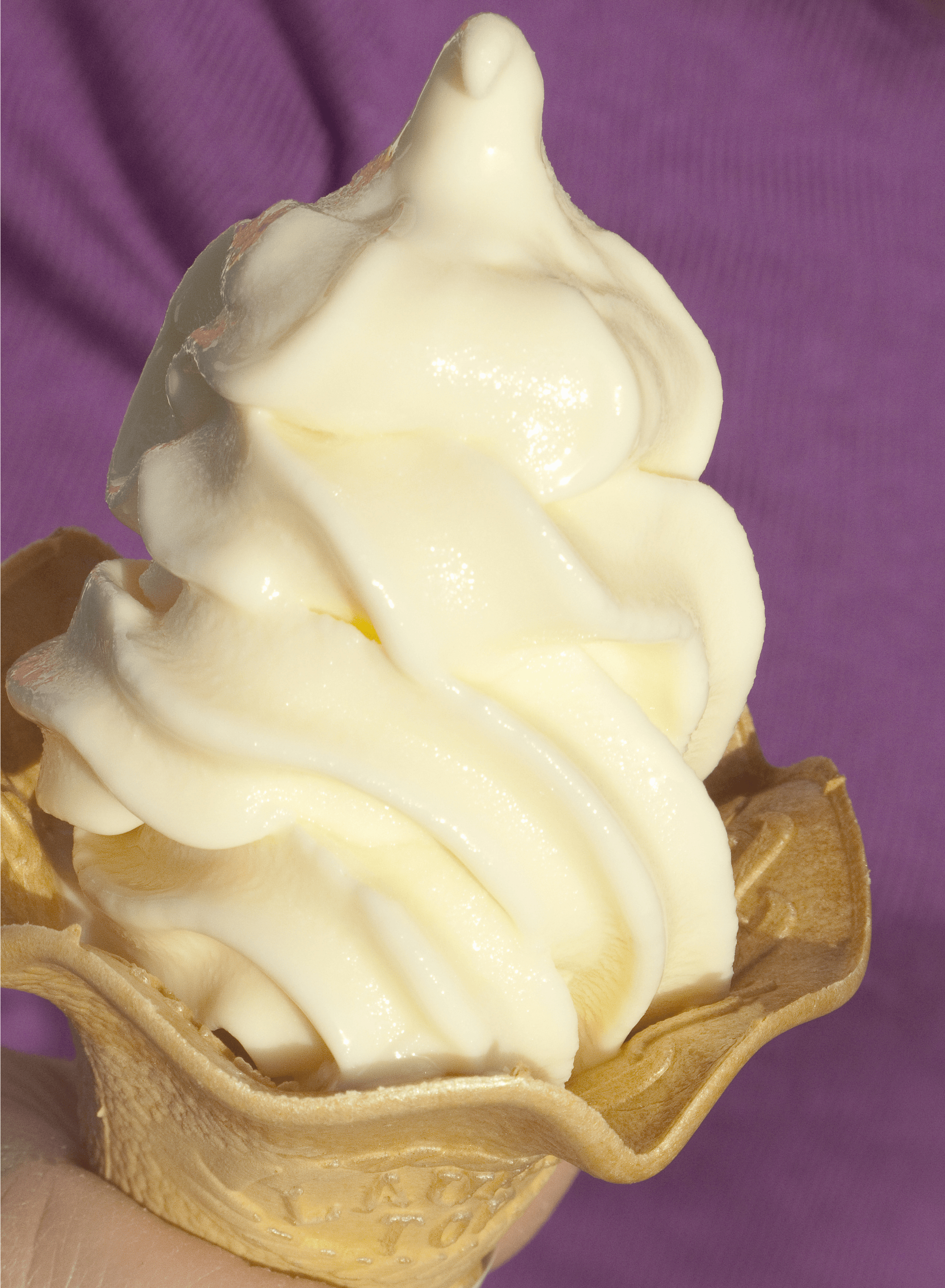 The Wedding Ring - theweddingring.ca